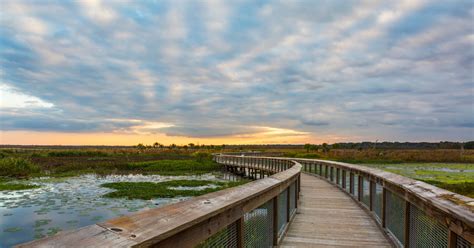 independent living gainesville fl|upside gainesville.